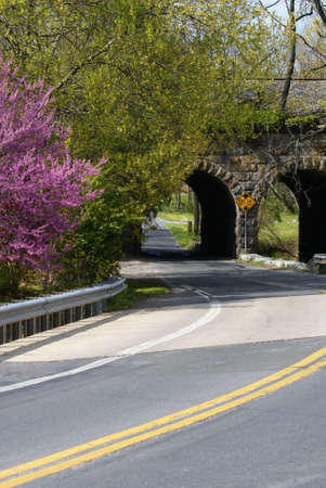 Twin Archesの写真素材