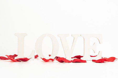 rose, petals, love, background, text, romance, isolated, white, flower, romantic, red, valentine, heart, celebration, wedding, decoration, holiday, floral, card, petal, falling, design, nature, pattern, natural, concept, san valentin, whiteの写真素材