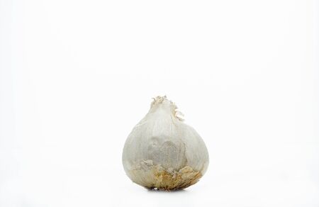 Garlic isolated on white backgroundの写真素材