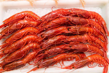Fresh Red shimp or Scarlet shrimps in marketの写真素材