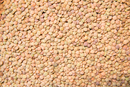 Castellana lentils. Lentils background. Natural organic lentilsの写真素材