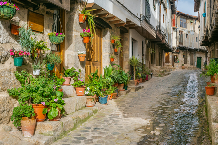 Old street of San Martin de Trevejo, Caceres, Extremadura, Spain.の写真素材