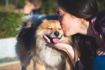 woman kissing dog with copy space for textの写真素材