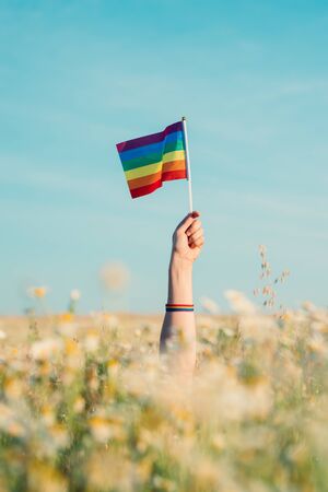 woman's hand holding an lgtb flagの写真素材