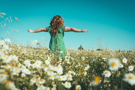 woman on her back with open arms in a field of daisiesの写真素材