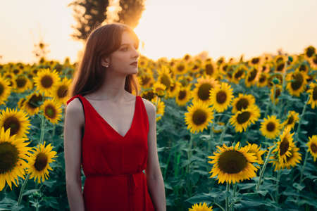 woman with red dress in sunflowers fieldの写真素材