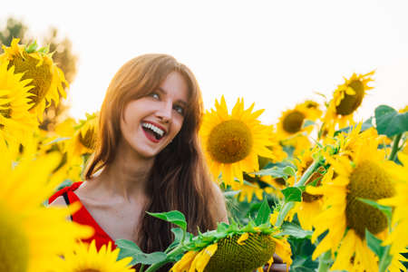Happy woman with sunflwer enjoying nature and laughing on summer sunflower field.の写真素材