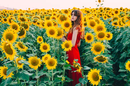 woman with red dress in sunflowers field