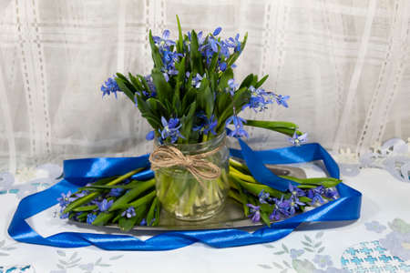On a metal tray is a jar with a bouquet of snowdrops. The composition is framed by a ribbon.の写真素材