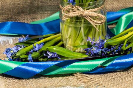 Close-up. In a transparent jar of water are flowers. Nearby are snowdrops and ribbons.