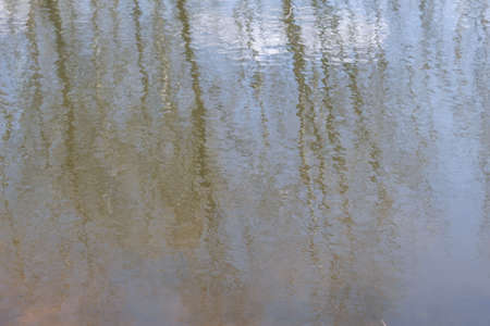 The ripples of the spring lake reflect the blurry silhouettes of trees.