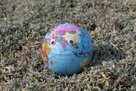 On the ground cover plant lies a globe with toy eyes looking forward.