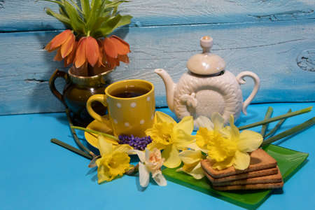 There is a cup of tea and a teapot on the table, and cookies are on the plate. Daffodils are scattered nearby. In a ceramic pot stands a spectacular fritillaria flower.の写真素材