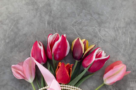On a gray background in the center lies a bright bouquet of beautiful multi-colored tulips.