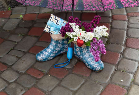 On wet paving slabs under an umbrella are women's spring boots, in which lilac flowers with a red...