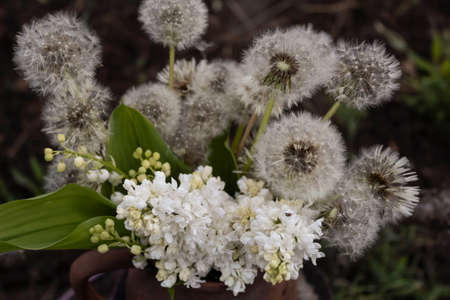 View from above. In one bouquet are dandelions, white lilacs and lilies of the valley.の写真素材