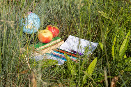 In the grass are books, a notebook, pencils, apples and a globe.
の写真素材