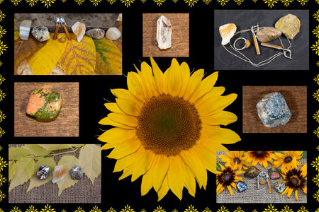 Collage. Flowers, leaves, jewelry and semi-precious stones.の写真素材