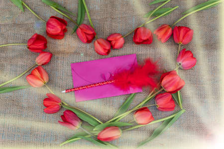 In the rays of light in the middle of the heart, made of tulip flowers, there is an envelope and a pen with a bird's feather.の写真素材