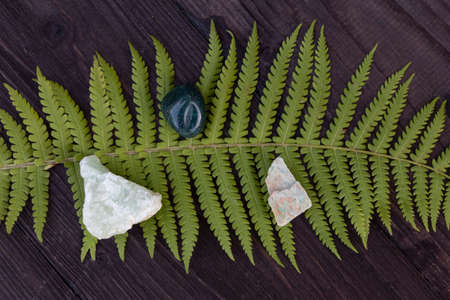 A fern leaf lie on a wooden background. From above are three semi-precious stones - heliotrope, prehnite, amazonite.の写真素材