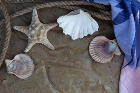 A starfish, shells, a rope and a light silk scarf lie on the wet sand.