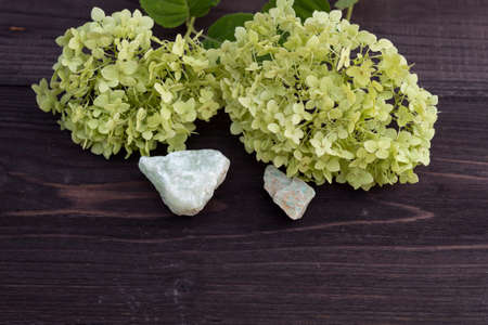 On a dark wooden background, there are stones and flowers in green tones - hydrangea flowers and...