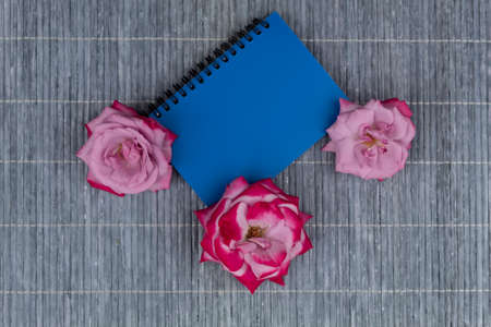 On a light background lies a blue notebook and pink roses.の写真素材