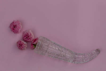 On a pink background lies a crystal horn with pink roses.の写真素材