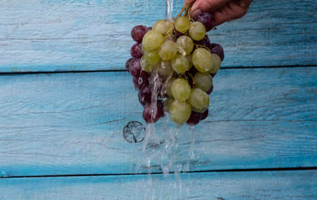 In the hand are two bunches of grapes purple and green, onto which water is poured.の写真素材