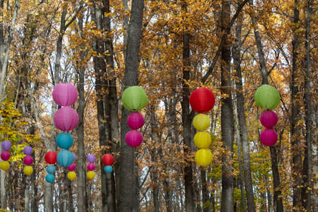 In the fall, colorful balls are hung on the trees.の写真素材