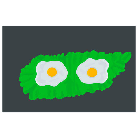 On a gray background, two fried eggs on a leaf of lettuce.のイラスト素材
