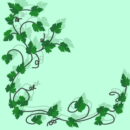 Background, texture. On a green background, a vine of grapes with leaves and a shadow.のイラスト素材