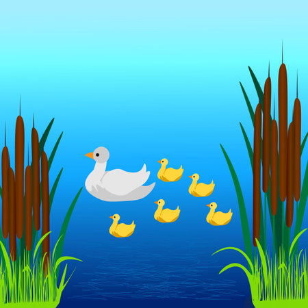 vector graphics. Lake with reeds. A duck with little ducklings swims in the lake.のイラスト素材