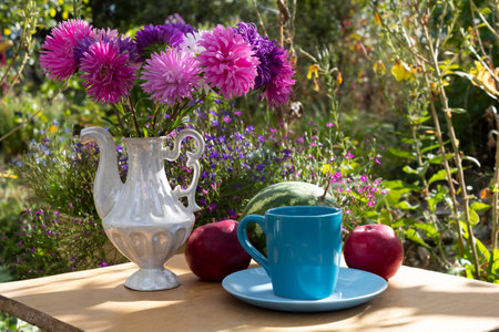 Against the backdrop of a garden in the sun, there is a bouquet of asters on the table, ripe apples on the table and a cup on a saucer.の写真素材