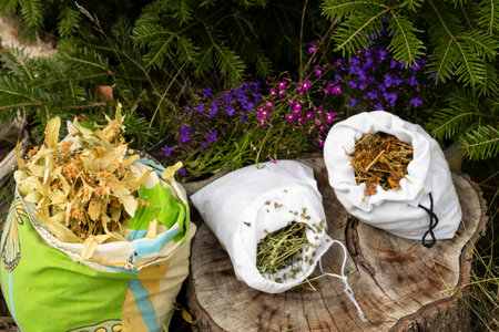 On the stump lie three cloth bags with dried linden flowers, burdock, and St. John's worth.の写真素材