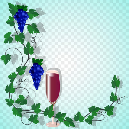 Vector graphics. On a transparent greenish background, a vine with bunches of grapes and a glass of red wine.のイラスト素材