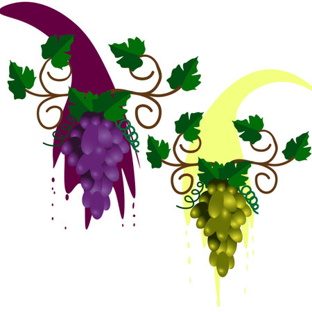 Vector graphics. Two bunches of grapes against the background of flowing red and white wine.のイラスト素材