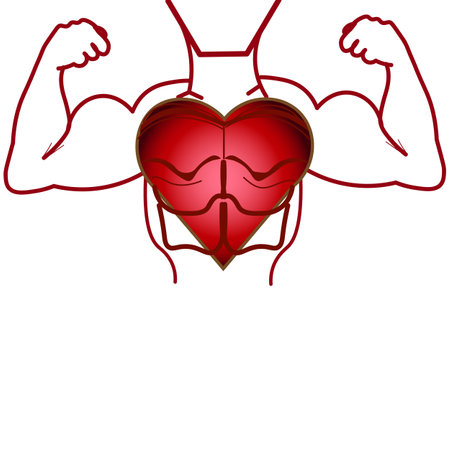 Vector graphics. On a white background, a heart and a silhouette of pumped-up male arms.のイラスト素材