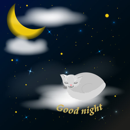Vector graphics. Good night. A white cat sleeps on white clouds against the background of the starry sky with a bright moon.のイラスト素材