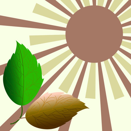 Vector abstract illustration with retro sunburst rays in earthy tones, vibrant green leaf and autumn brown dry leaf.のイラスト素材