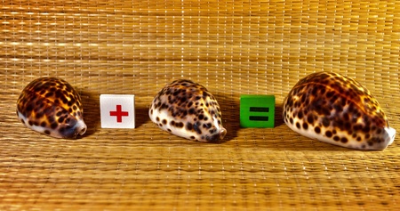 Demonstrating addition to the example of seashells.
