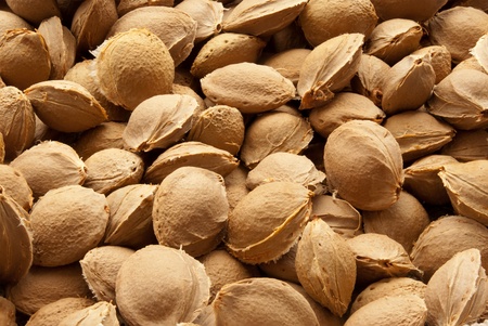 A solid background of apricot pits.