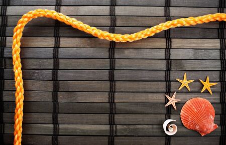 Marine themed background of few seashells and rope on a wooden background.の写真素材