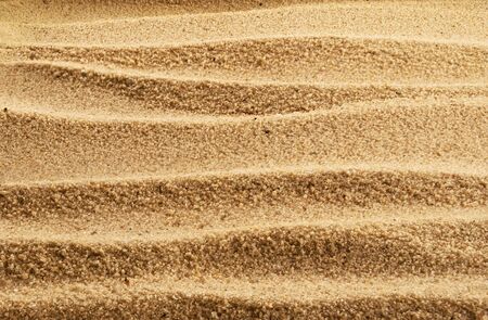 Large bright and wavy sandy background. 