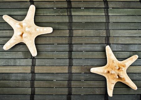 Marine still life of two yellow sea-stars on a wooden mat in dark tones.の写真素材