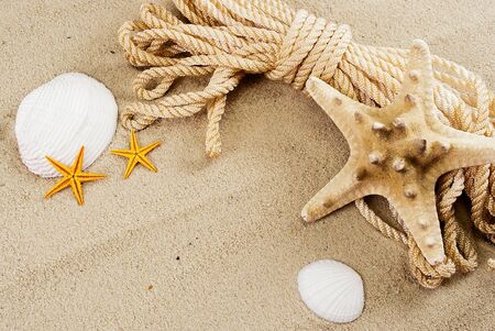 Marine still life of few seashells and sailor rope on sand.の写真素材