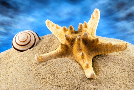 Big seastar and spiral seashell on a sand against the blue cloudy sky.の写真素材