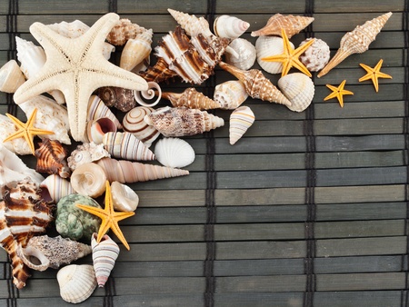 Lots of different seashells on a wooden mat.の写真素材