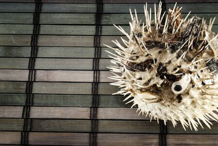 The scarecrow of blowfish on a wooden mat.の写真素材