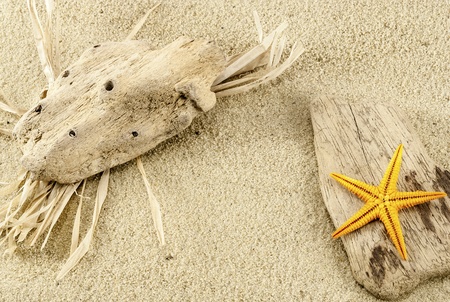 Close up of marine items on a sand の写真素材